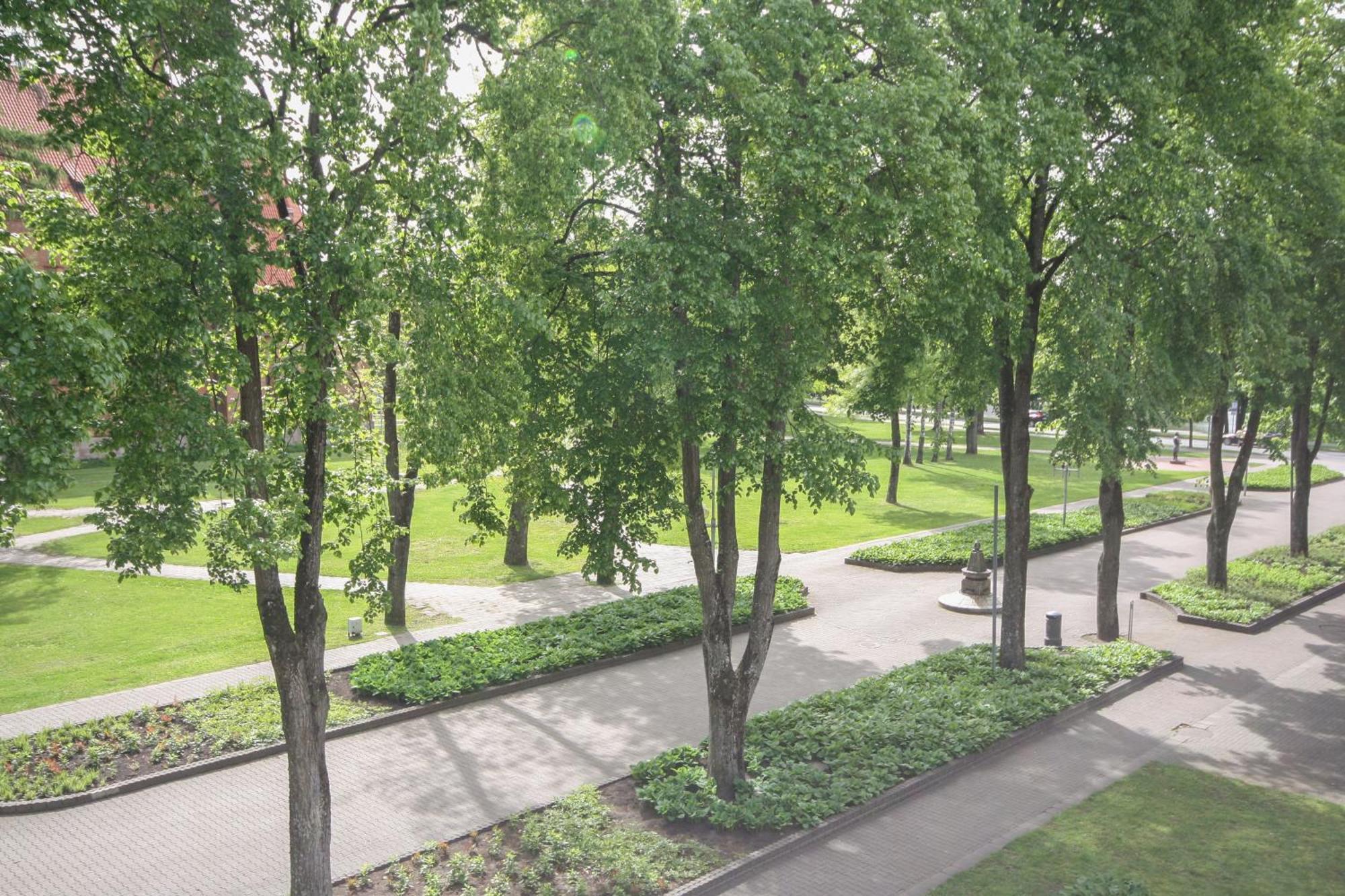 Apartamentai Vilniaus Alejoje ดรูซกินินไก ภายนอก รูปภาพ
